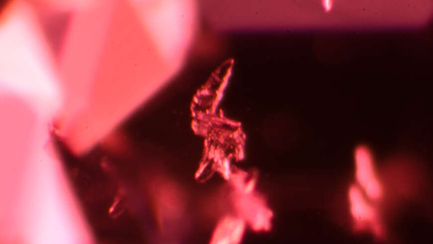 Calcite Inclusions in Unheated Ruby