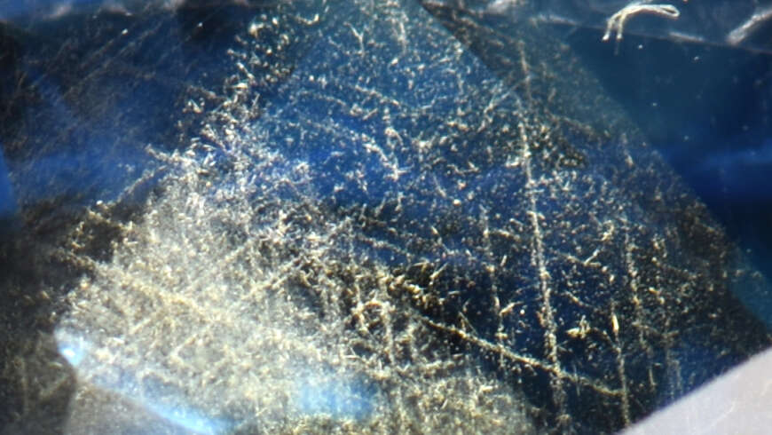 Golden Silk in Unheated Sapphire