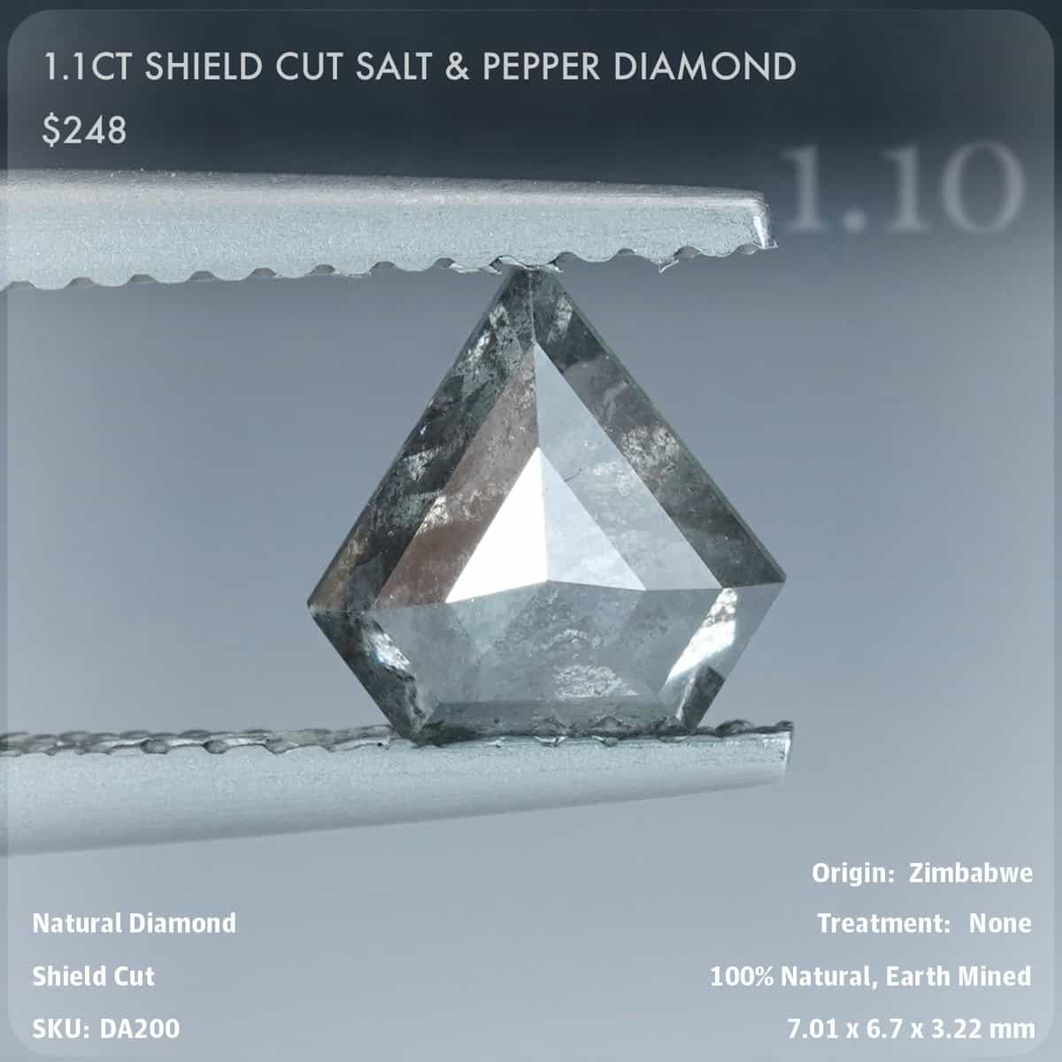 1.1CT Shield Cut Salt & Pepper Diamond